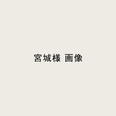 宮城 晃